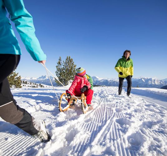 Tobogganing